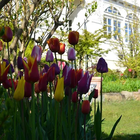 Mit Sonnenhof Netzboden * 괴렌